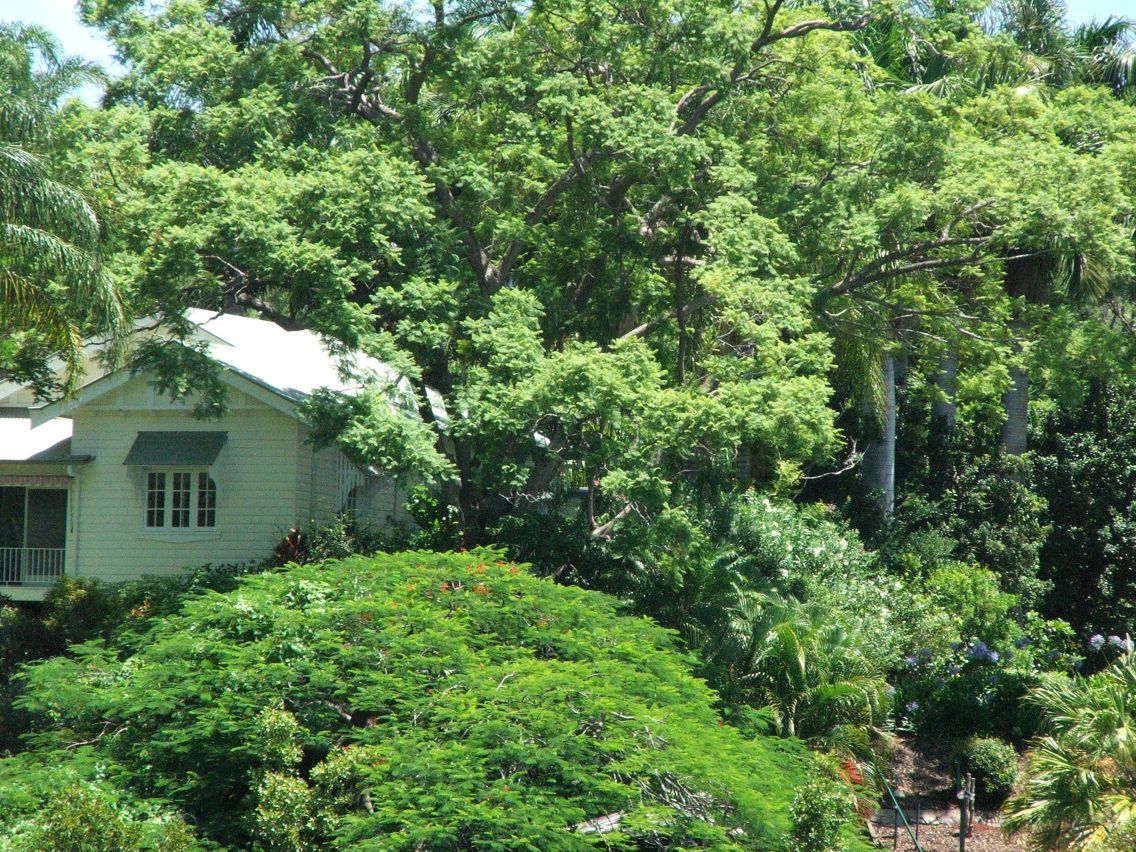 20041229-125224