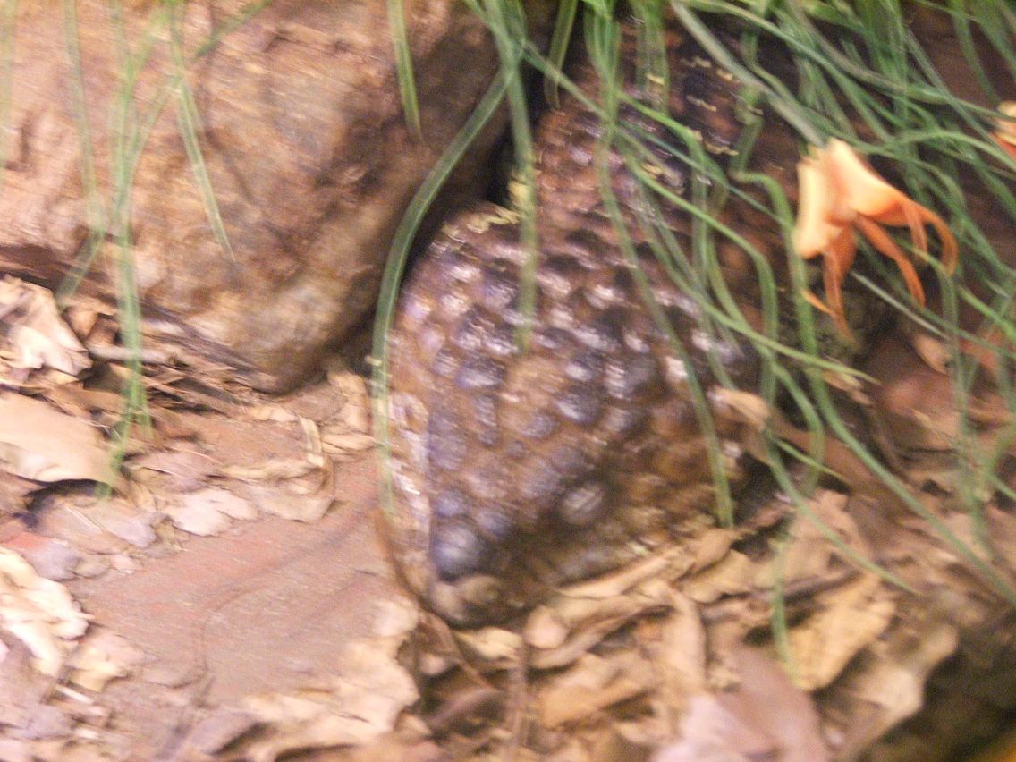 20041230-155205