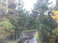 The View Down The Driveway