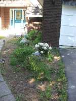 The Front Side Flower Bed